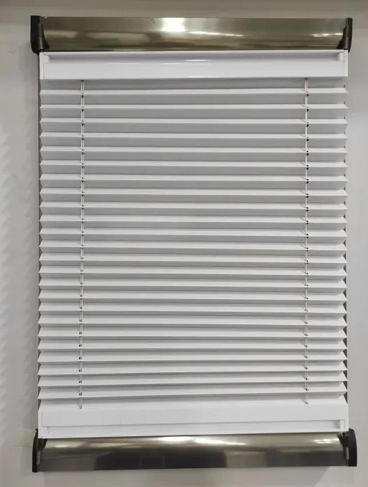 Cam Balkon Plise